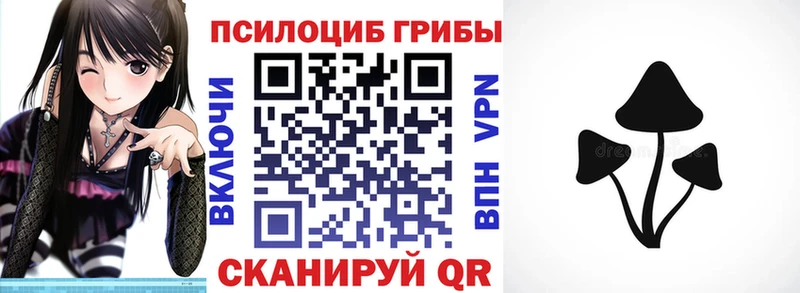 Купить где  Геленджик  Псилоцибиновые грибы Psilocybe 